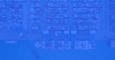 In the latest edition of the Ocean Freight Pulse webinar, Xeneta experts discussed the integrity and short-term decisions. 
