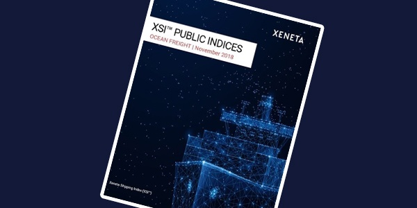 XSI Public Indices Report Nov 2018-1