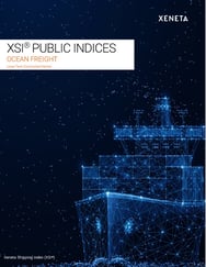 XSI Report Cover