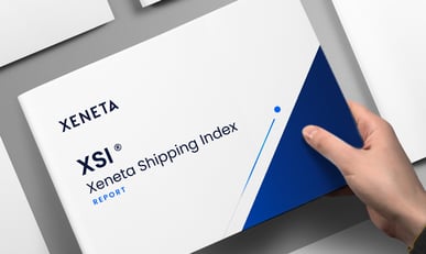 XSI-mockup