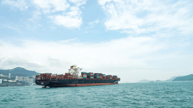 Carbon emissions performance in ocean container shipping is showing signs of recovery following a record-breaking 12 months due to conflict in the Red Sea.