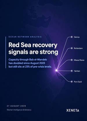 red-sea-signals-report (1)