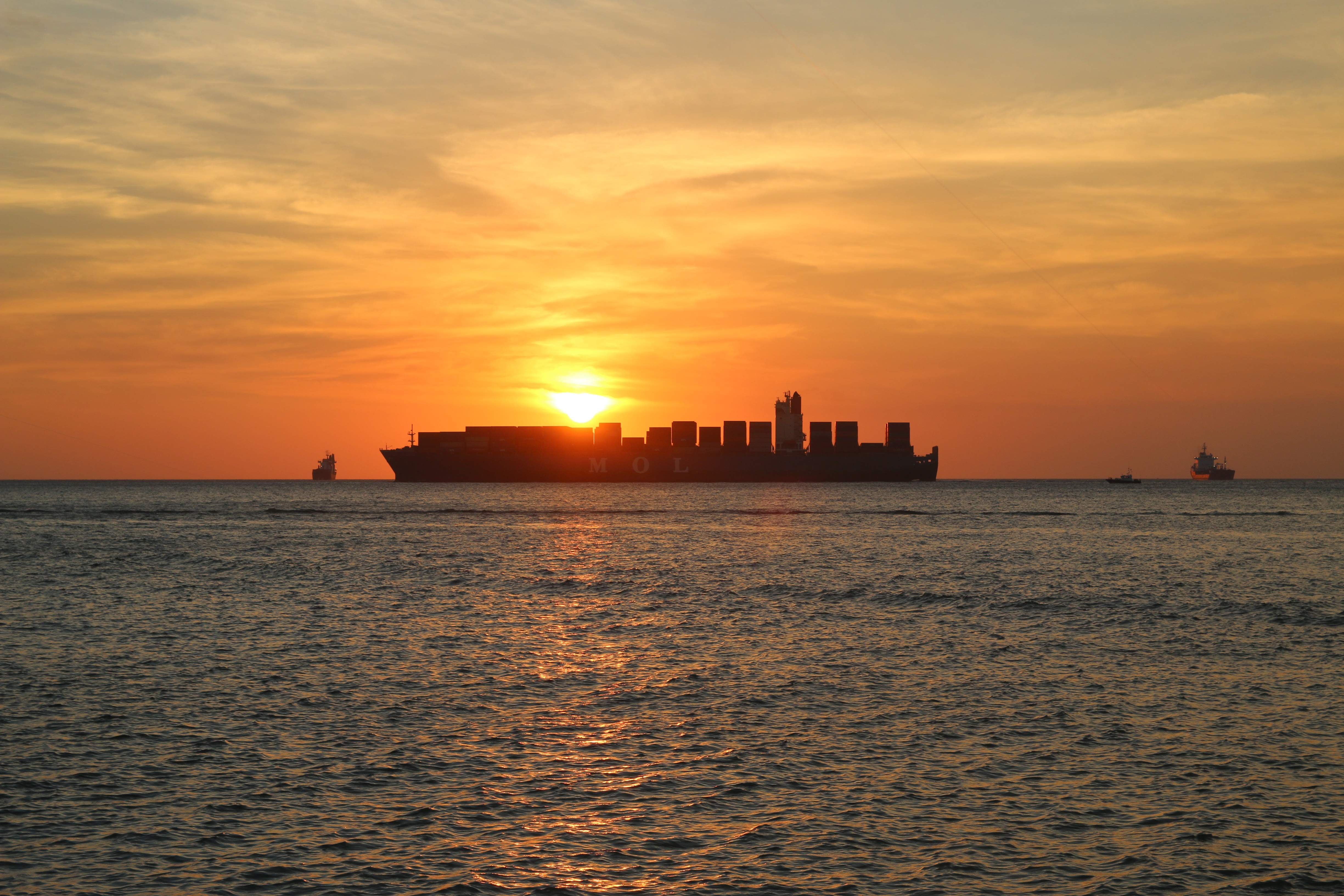 What Helps Ocean Freight Rates; Alliances or Economics?