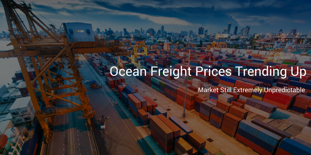 Xeneta Says: Market Rocked By Unpredictability But Ocean Freight Prices Climbing