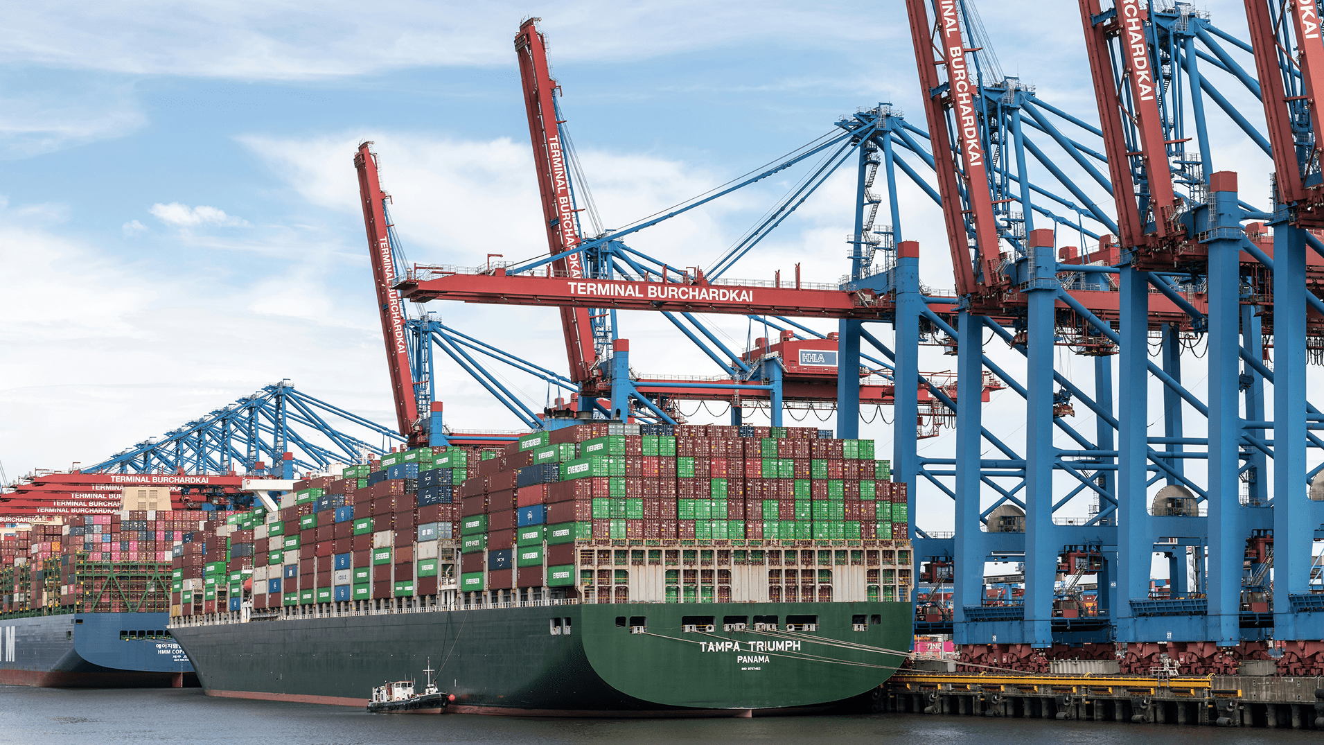 Reliability You Can See: Why Ocean Freight Decisions Fail Without Performance Intelligence