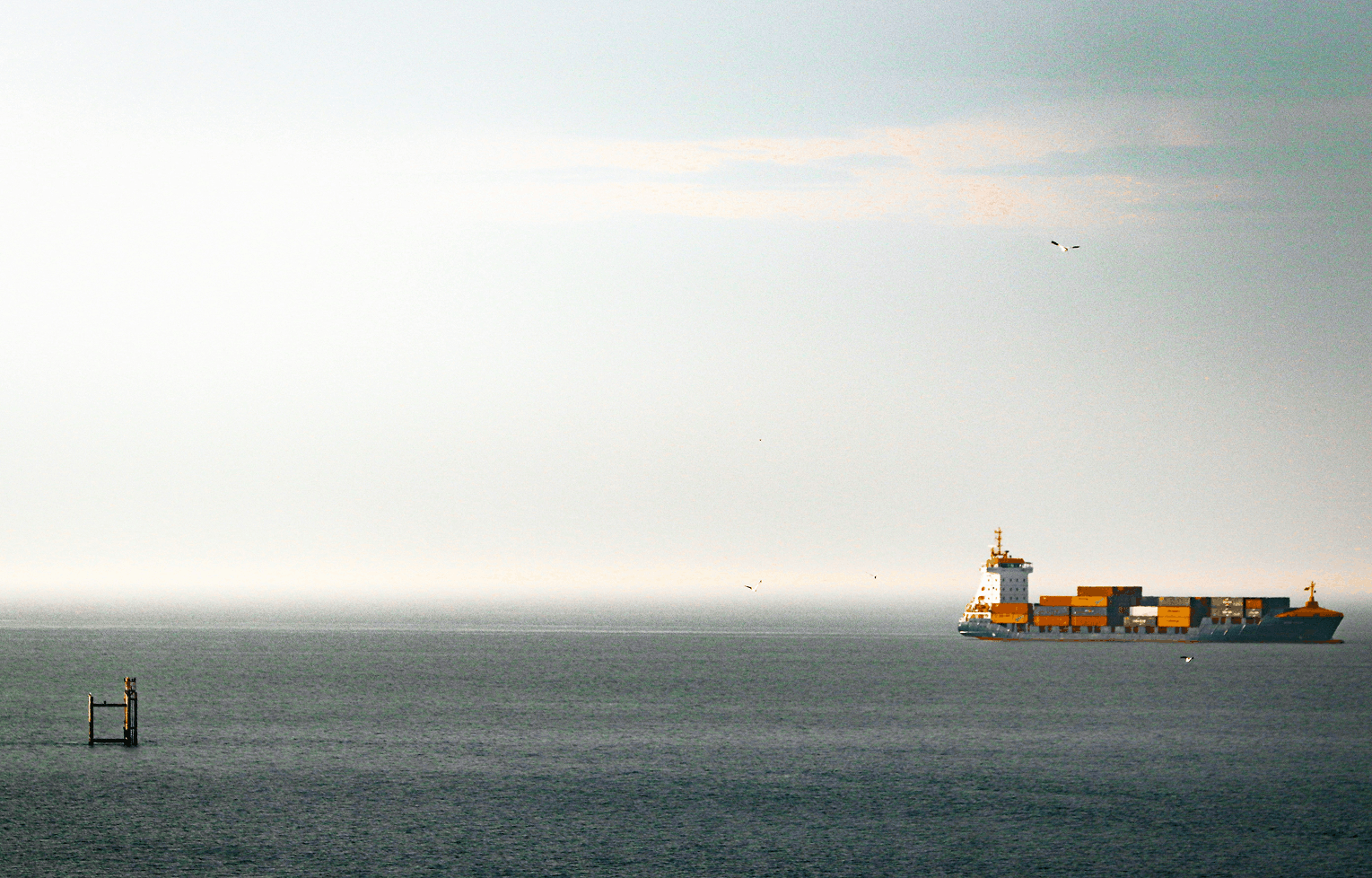 Xeneta Schedule Reliability Scorecard - 2025 Year in Review - Carriers